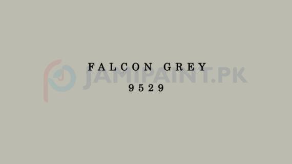 Dulux EasyCare Falcon Grey 9529