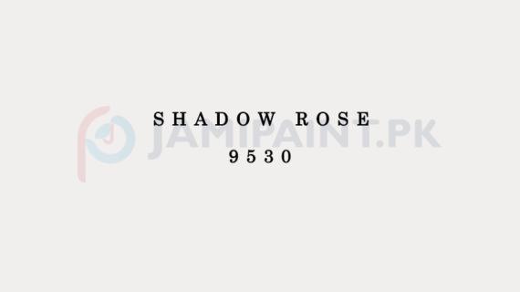Dulux EasyCare Shadow Rose 9530