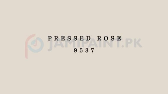 Dulux EasyCare Pressed Rose 9537