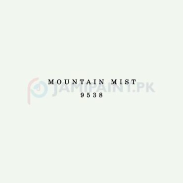 Dulux EasyCare Mountain Mist 9538