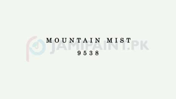 Dulux EasyCare Mountain Mist 9538