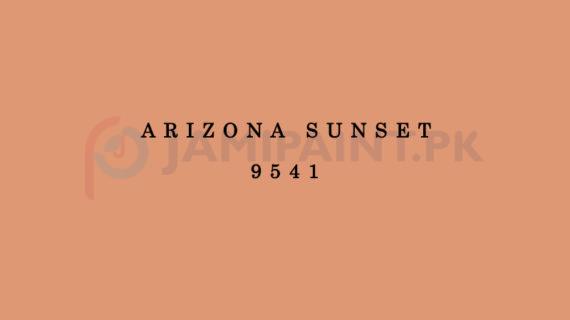 Dulux EasyCare Arizona Sunset 9541