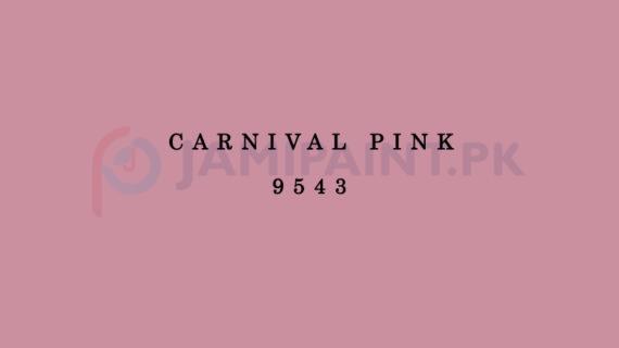 Dulux EasyCare Carnival Pink 9543