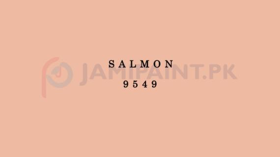 Dulux EasyCare Salmon 9549