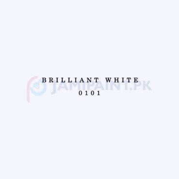Dulux Gloss Finish Enamel - Brilliant White 0101