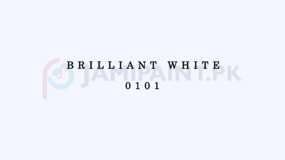 Dulux Gloss Finish Enamel -  Brilliant White 0101