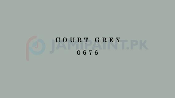 Dulux Gloss Finish Enamel -  Court Grey 0676
