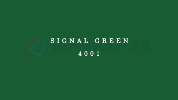 Dulux Gloss Finish Enamel -  Signal Green 4001