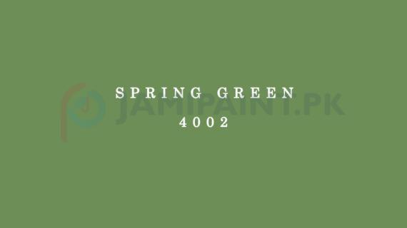 Dulux Gloss Finish Enamel -  Spring Green 4002