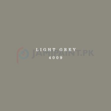 Dulux Gloss Finish Enamel - Light Grey 4009