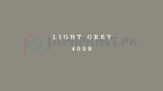 Dulux Gloss Finish Enamel -  Light Grey 4009