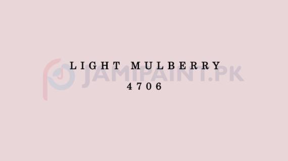 Dulux Matt Enamel - Light Mulberry 4706