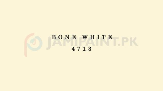 Dulux Matt Enamel - Bone White 4713