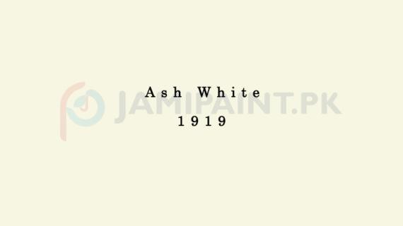 Dulux Pentalite Classic - Ash White 1919