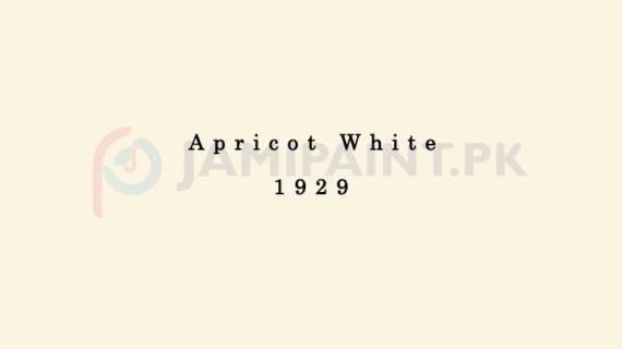 Dulux Pentalite Classic - Apricot White 1929