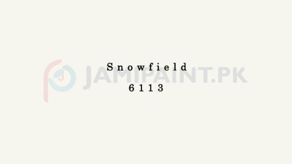 Dulux Pentalite Classic - Showfield 6113