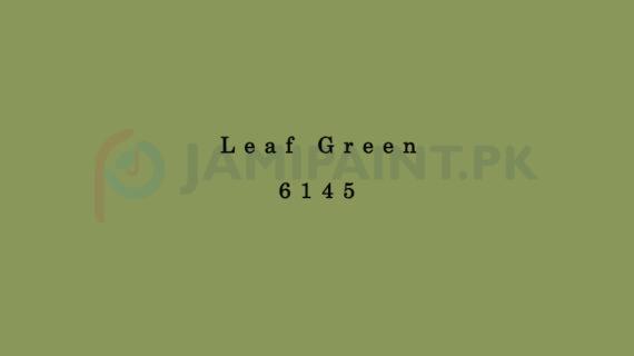 Dulux Pentalite Classic - Leaf Green 6145