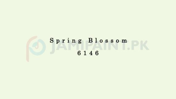 Dulux Pentalite Classic - Spring Blossom 6146