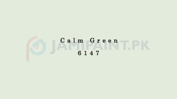 Dulux Pentalite Classic - Calm Green 6147