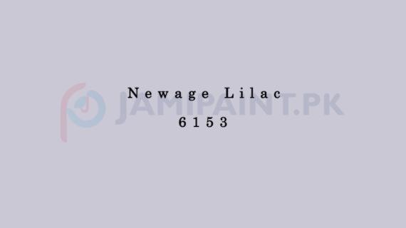 Dulux Pentalite Classic - Newage Lilac 6153