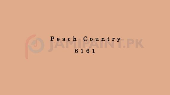 Dulux Pentalite Classic - Peach Country 6161