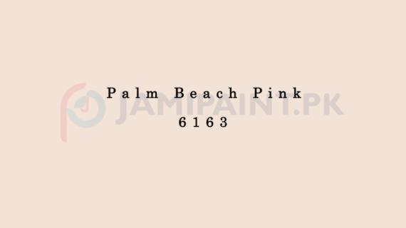 Dulux Pentalite Classic - Palm Beach Pink 6163