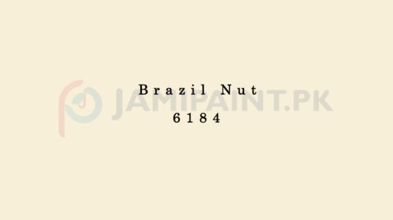 Dulux Pentalite Classic - Brazil Nut 6184