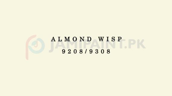 Dulux Velvet Touch Almond Wisp 9208