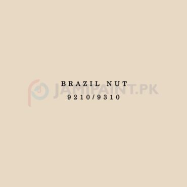 Dulux Velvet Touch Brazil Nut 9210