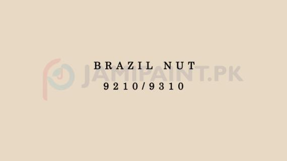 Dulux Velvet Touch Brazil Nut 9210