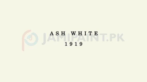 Dulux Weathershield - Ash White 1919