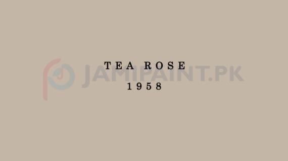 Dulux Weathershield - Tea Rose 1958