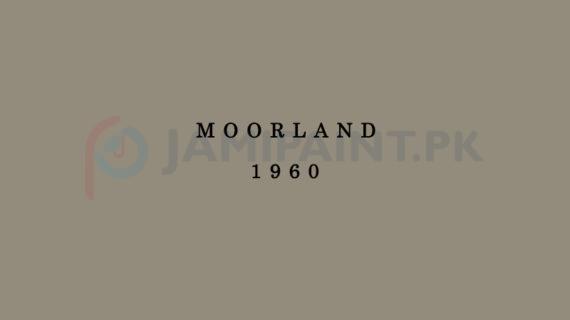 Dulux Weathershield - Moorland 1960