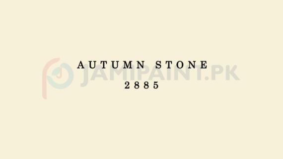 Dulux Weathershield - Autumn Stone 2885