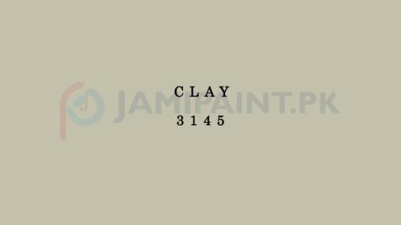 Dulux Weathershield - Clay 3145