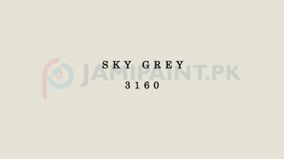 Dulux Weathershield - Sky Grey 3160