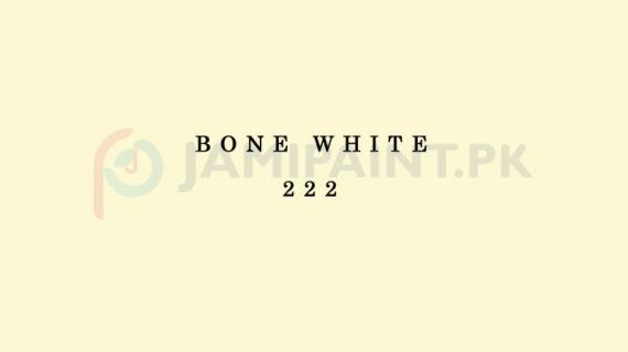Weldon Super Gloss Enamel Bone White 222