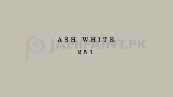 Weldon Super Gloss Enamel Ash White 251