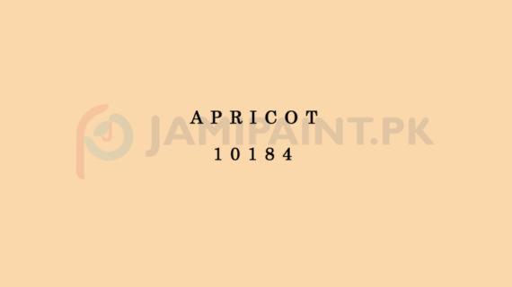 Berger Elegance Matt Emulsion - Apricot 10184