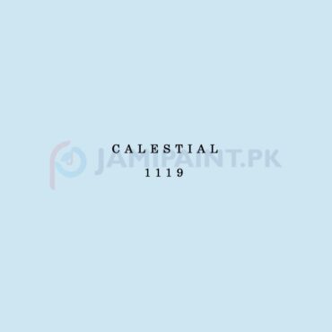 Berger Elegance Matt Emulsion - Caestial 1119