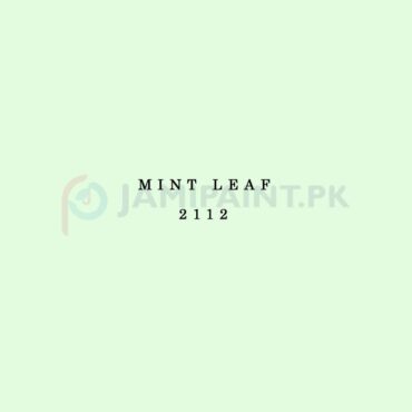 Berger Elegance Matt Emulsion - Mint Leaf 2112