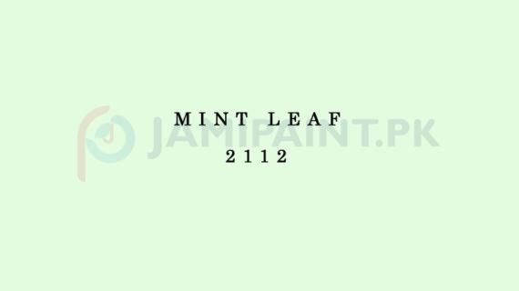 Berger Elegance Matt Emulsion - Mint Leaf 2112