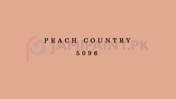 Berger Elegance Matt Emulsion - Peach Country 5096