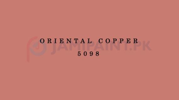 Berger Elegance Matt Emulsion - Oriental Copper 5098