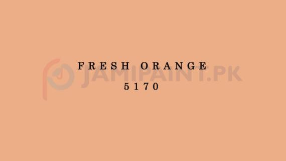 Berger Elegance Matt Emulsion - Fresh Orange 5170
