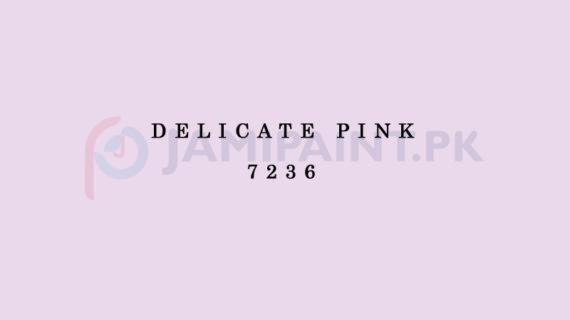 Berger Elegance Matt Emulsion - Delicate Pink 7236