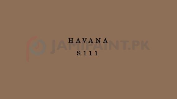 Berger Silk Emulsion - Havana - S111