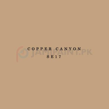 Berger Synthetic Enamel - Copper Canyon SE17