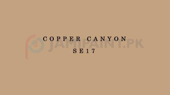 Berger Synthetic Enamel - Copper Canyon SE17