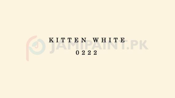Berger Allrounder Matt Enamel - Kitten White 0222